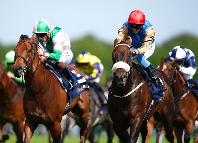 Night Raider (right) is seen as one of Wathnan's key players 
