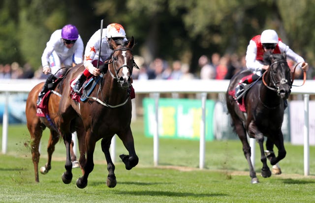 Advertise won the July Stakes last year