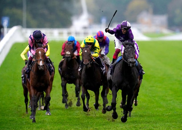 King Of Steel went on to win the Champion Stakes