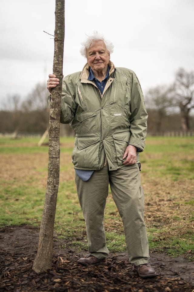 Sir David Attenborough plants a tree in honour of Queen Elizabeth II for the Queen’s Green Canopy in Richmond Park with school children from across London
