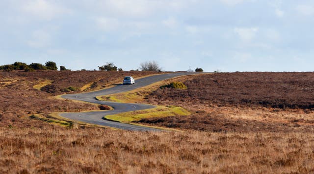 New Forest National Park
