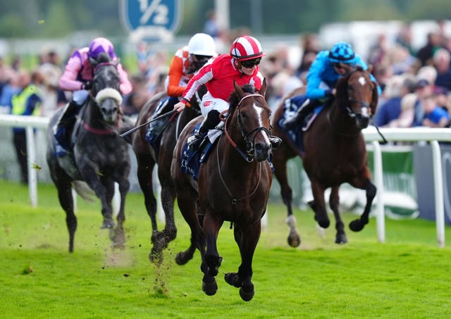 Bradsell had plenty in hand close home