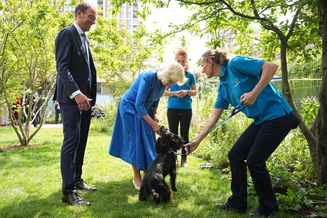 Camilla in a garden at Battersea Dogs and Cats Home