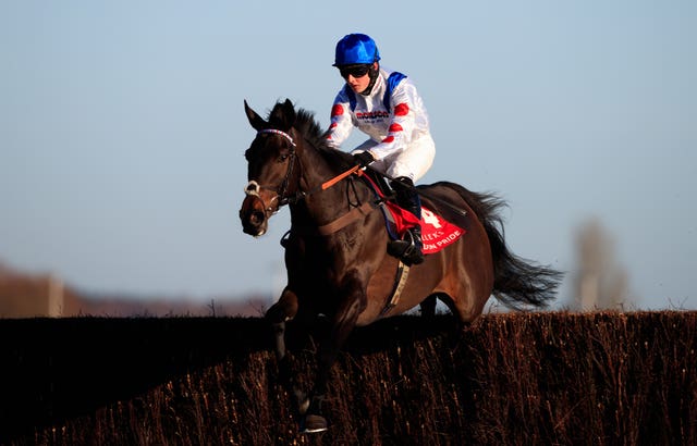 Clan Des Obeaux represents Paul Nicholls in the Gold Cup