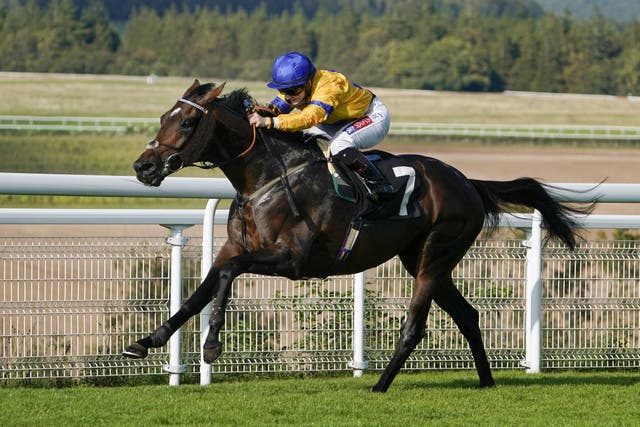 Stag Horn winning The Royal Sussex Regiment Handicap at Goodwood