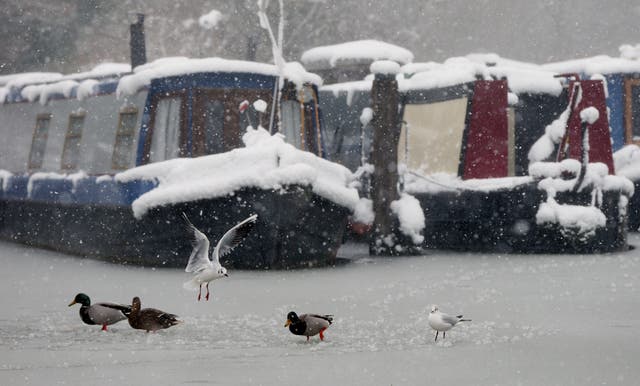 Winter weather Feb 1st 2019