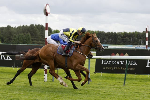 Whoputfiftyinyou at Haydock