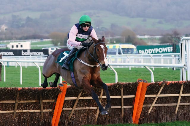 Stormy Ireland was a Cheltenham winner back in January