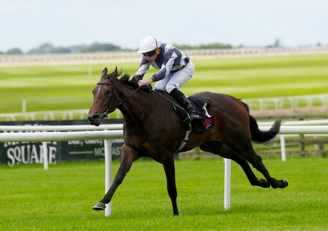 Alpha in action at the Curragh