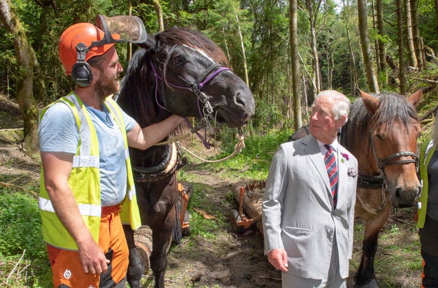 Charles in Wales