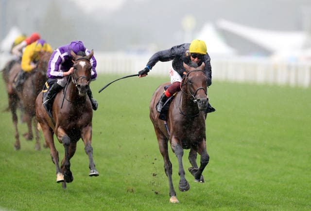 Sea Of Class (yellow) was well beaten