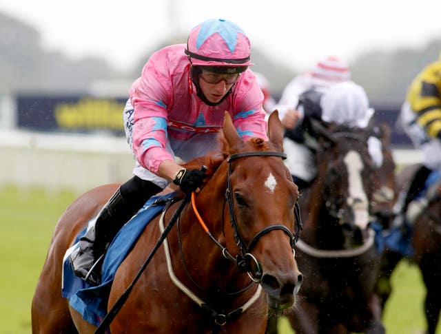 York Races – July 18th