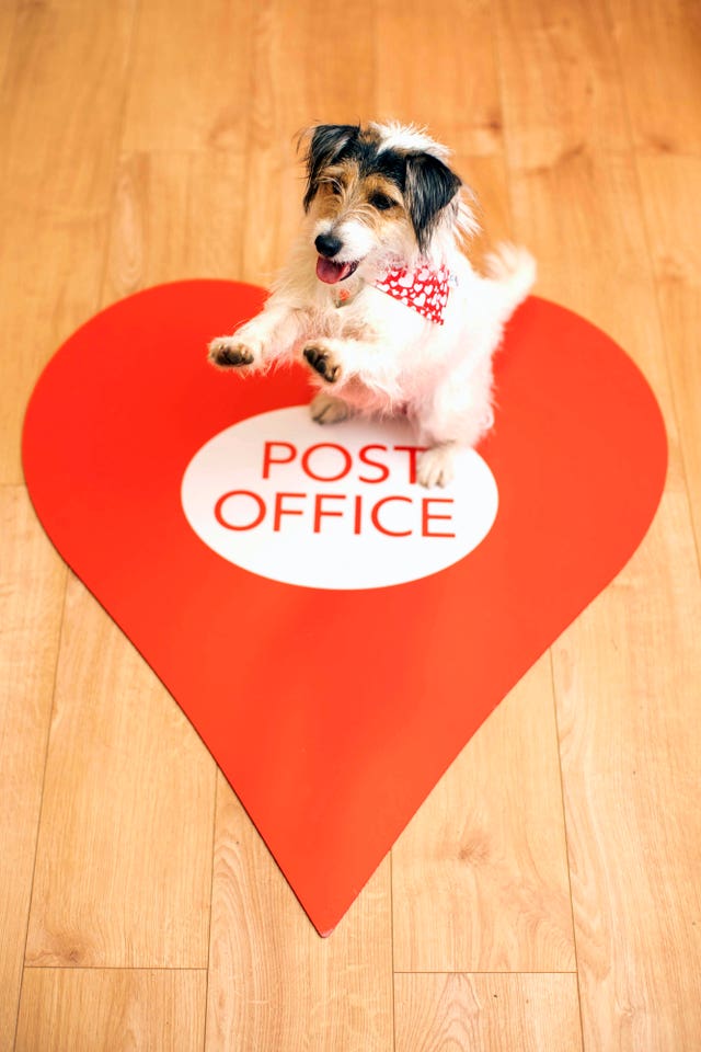 Stanley, the village’s terrier mascot