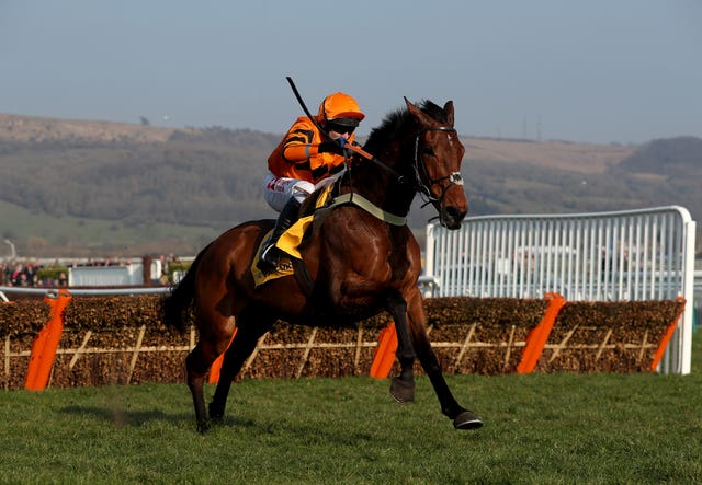 Thistlecrack is likely to stick to hurdling
