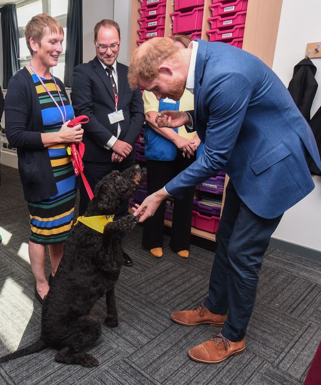 Harry and Barney