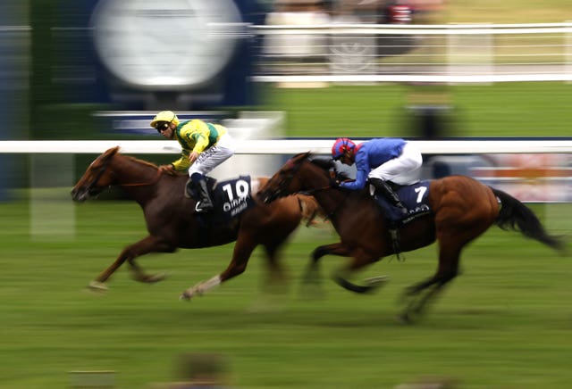Sealiway winning the Qipco Champion Stakes at Ascot