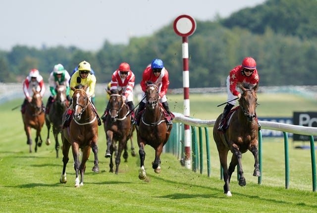 Mr McCann leads the way at Haydock