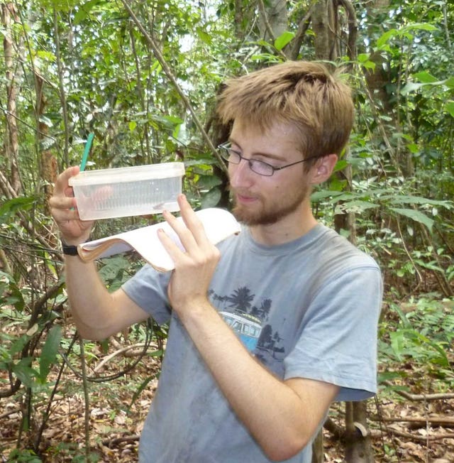 New species of frog found
