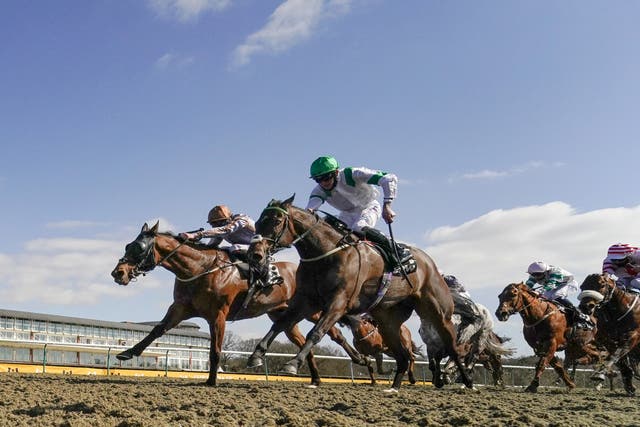 Exalted Angel (nearside) was edged out last year