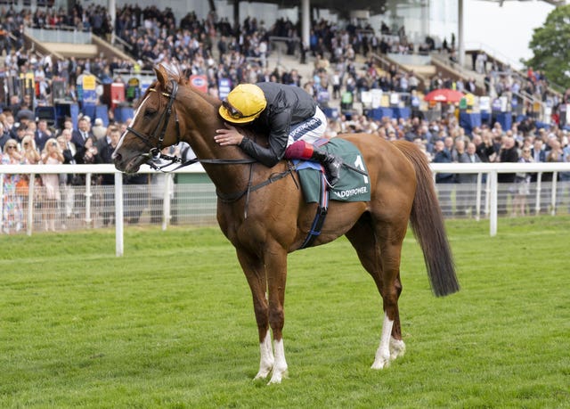 Frankie Dettori has made no secret of his feelings for Stradivarius