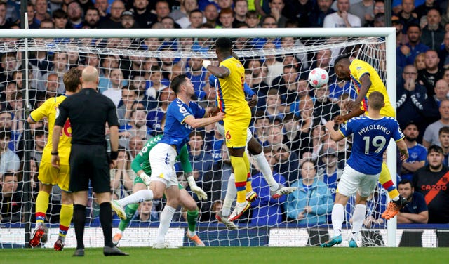 Everton 3 - 2 Crystal Palace: Everton mount stunning fightback to clinch Premier League survival in Palace win