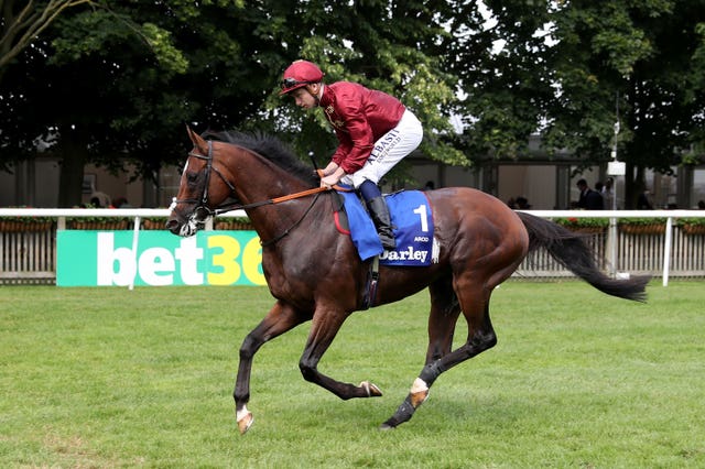 Arod was sold by Qatar Racing on Thursday