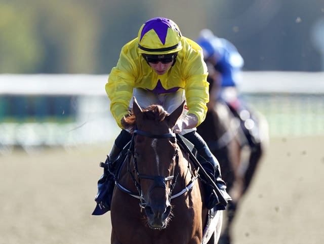 Lingfield Park – Thursday October 28th