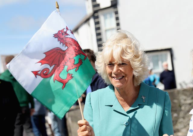Camilla in Wales in 2016