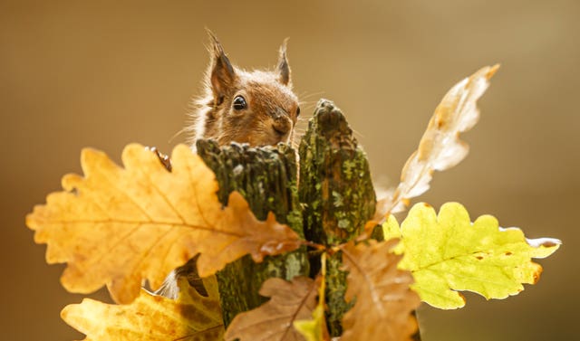 Autumn weather Oct 14th 2020