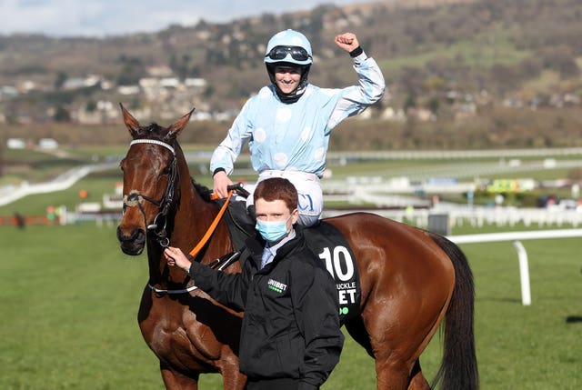 Honeysuckle triumphed in last year's Champion Hurdle