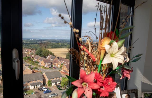 A general view of the penthouse flat and view beyond