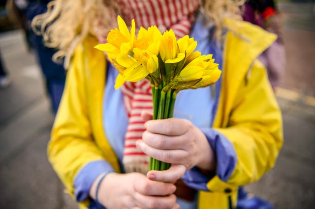 St David’s Day celebrations