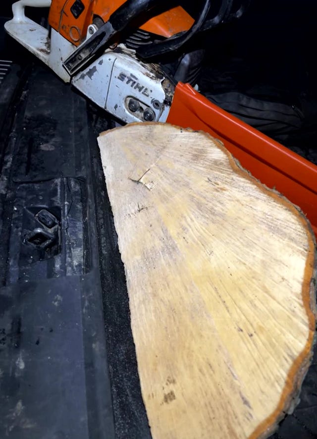 Photos of a chainsaw and a chunk of tree