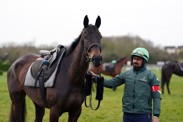 Energumene on the gallops at Cheltenham