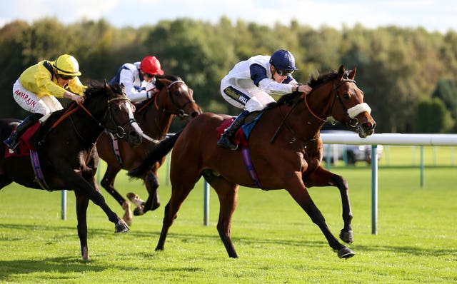 Franz strides out nicely to make a winning debut