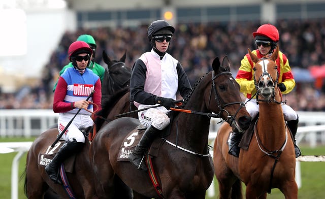 Chris’s Dream (centre) has options at Cheltenham