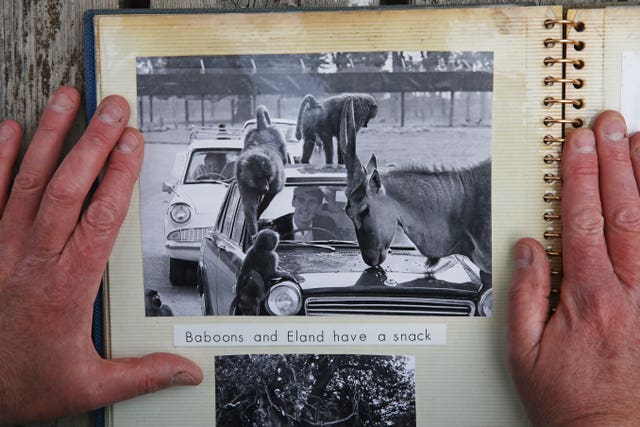 Scrapbook cuttings
