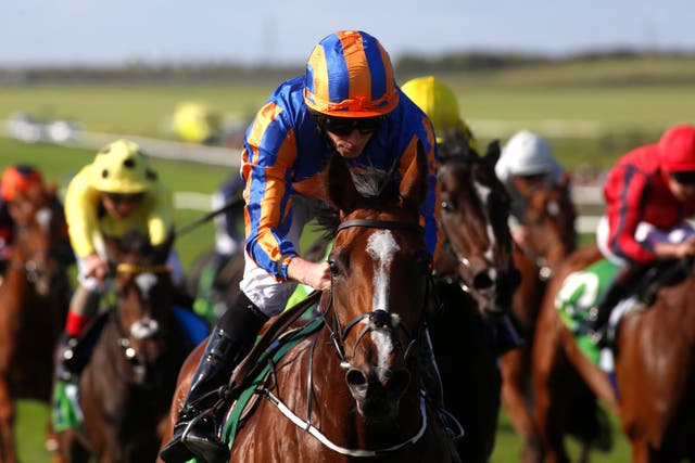 Clemmie starred in the Cheveley Park Stakes last season