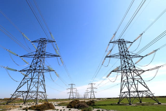 Electricity pylons (Gareth Fuller/PA)