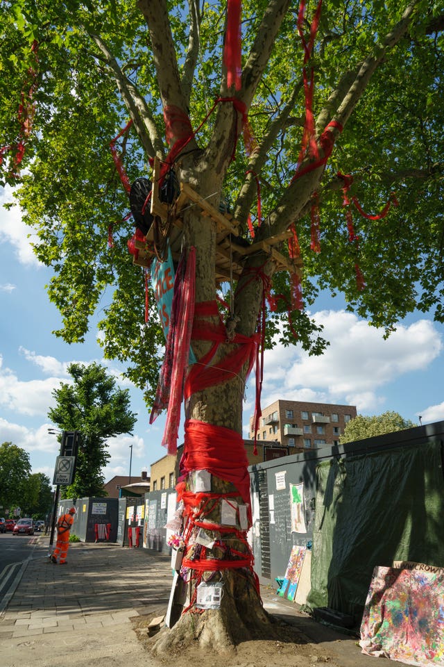 The Happy Man Tree