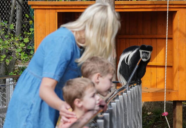 Monkey Valley – ZSL London Zoo