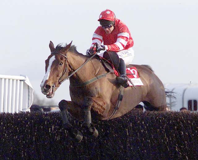 Florida Pearl in full flight