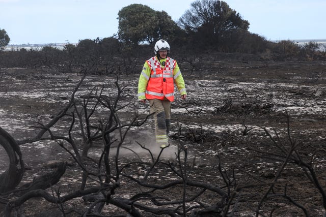 Emergency services near the scene of the wildfire