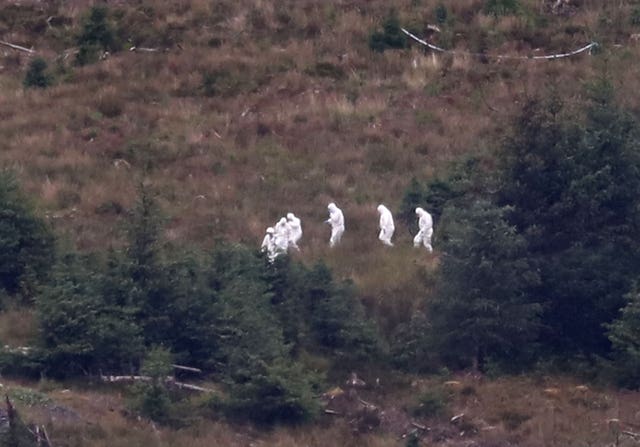 Galloway Forest