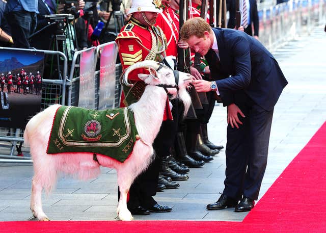 File photo dated 10/06/14 of Prince Harry petting Lance Corporal Shenkin III, which has died aged seven.