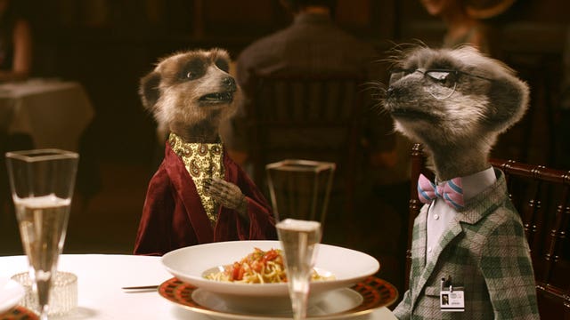 Latest comparethemarket.com ad