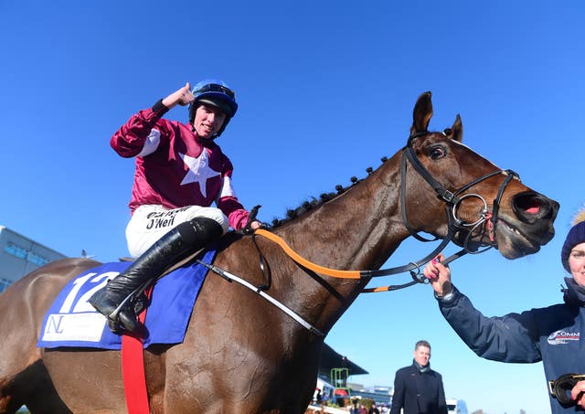 Commander of Fleet after winning at Leopardstown