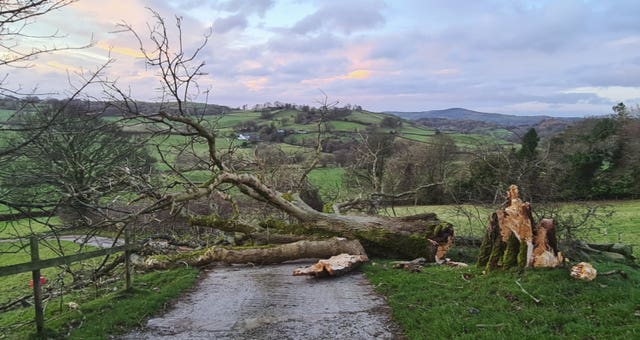 Autumn weather Nov 27th 2021
