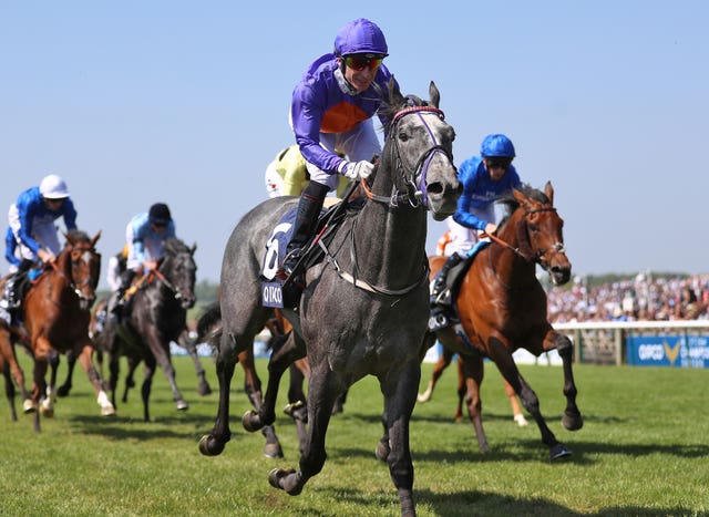 Grey Britain pleased trainer John Ryan on his recent return to action