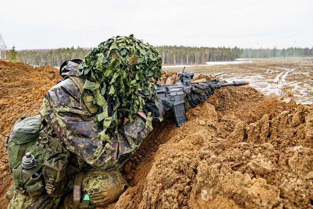 NATO exercise Bold Dragon